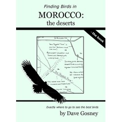 Finding Birds in Morocco:...