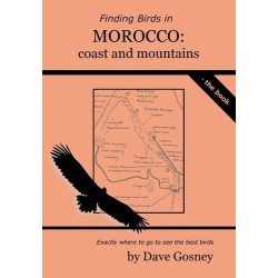 Finding birds in Morocco:...