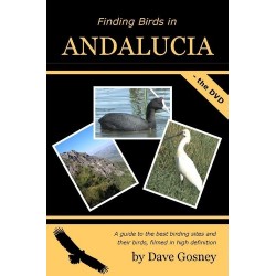 Finding Birds in Andalucia...