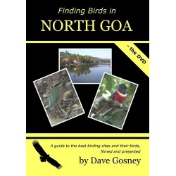 Finding Birds in North Goa