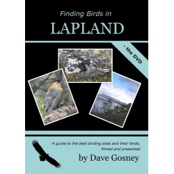 Finding Birds in Lapland...