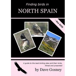 Finding Birds in  North Spain