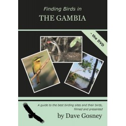 Finding Birds in The Gambia...
