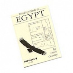 Finding Birds in Egypt