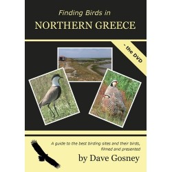 Finding Birds in Northern...