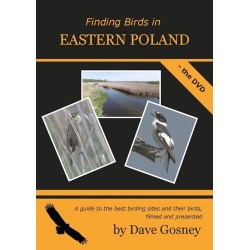 Finding Birds in Eastern...